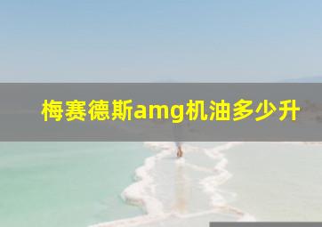 梅赛德斯amg机油多少升