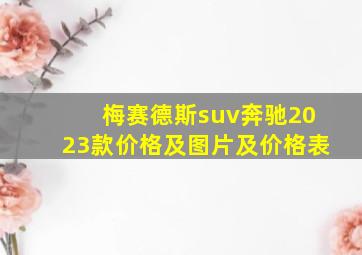 梅赛德斯suv奔驰2023款价格及图片及价格表