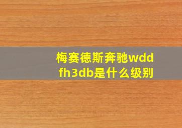 梅赛德斯奔驰wddfh3db是什么级别