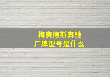 梅赛德斯奔驰厂牌型号是什么