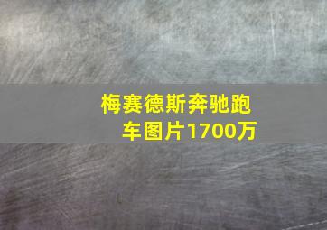 梅赛德斯奔驰跑车图片1700万