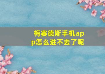 梅赛德斯手机app怎么进不去了呢