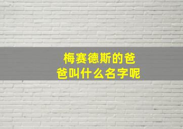 梅赛德斯的爸爸叫什么名字呢