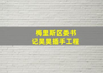 梅里斯区委书记吴昊插手工程