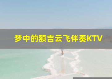 梦中的额吉云飞伴奏KTV