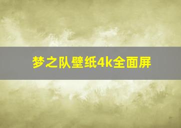 梦之队壁纸4k全面屏