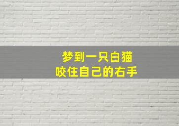 梦到一只白猫咬住自己的右手