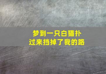 梦到一只白猫扑过来挡掉了我的路