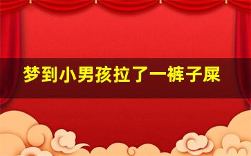 梦到小男孩拉了一裤子屎