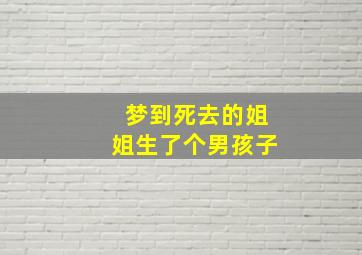 梦到死去的姐姐生了个男孩子