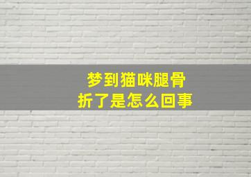 梦到猫咪腿骨折了是怎么回事