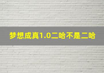 梦想成真1.0二哈不是二哈