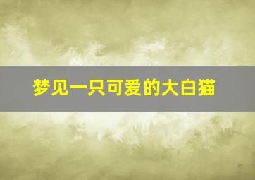 梦见一只可爱的大白猫