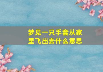 梦见一只手套从家里飞出去什么意思