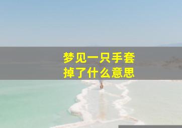 梦见一只手套掉了什么意思