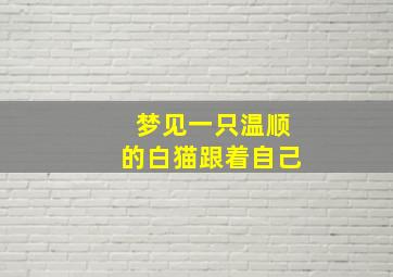 梦见一只温顺的白猫跟着自己