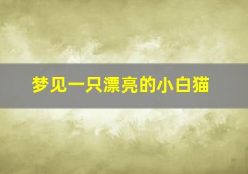 梦见一只漂亮的小白猫