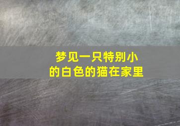 梦见一只特别小的白色的猫在家里