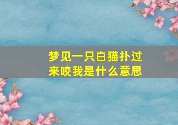 梦见一只白猫扑过来咬我是什么意思