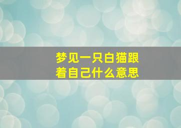 梦见一只白猫跟着自己什么意思