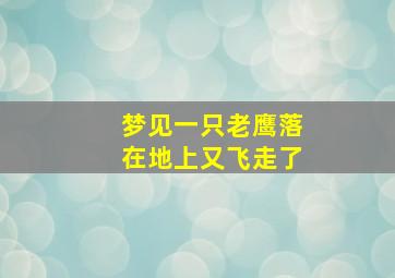 梦见一只老鹰落在地上又飞走了