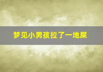 梦见小男孩拉了一地屎