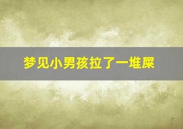 梦见小男孩拉了一堆屎