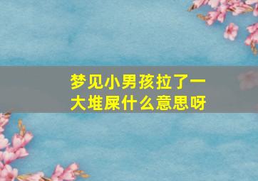 梦见小男孩拉了一大堆屎什么意思呀