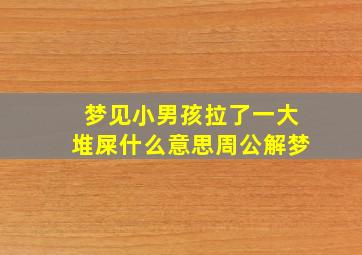 梦见小男孩拉了一大堆屎什么意思周公解梦