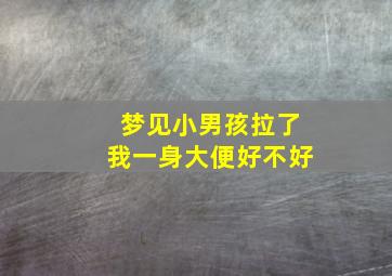 梦见小男孩拉了我一身大便好不好