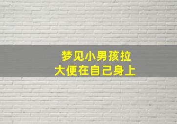 梦见小男孩拉大便在自己身上