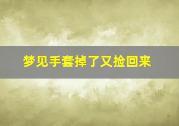 梦见手套掉了又捡回来