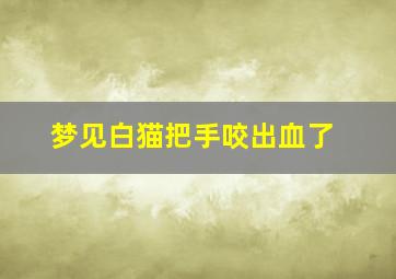 梦见白猫把手咬出血了