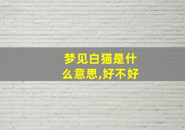 梦见白猫是什么意思,好不好