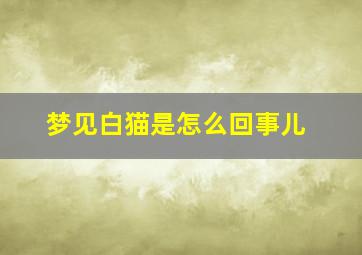 梦见白猫是怎么回事儿