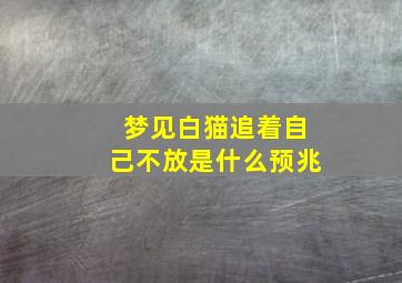 梦见白猫追着自己不放是什么预兆