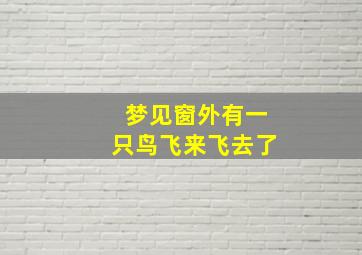 梦见窗外有一只鸟飞来飞去了