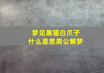 梦见黑猫白爪子什么意思周公解梦