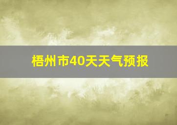 梧州市40天天气预报