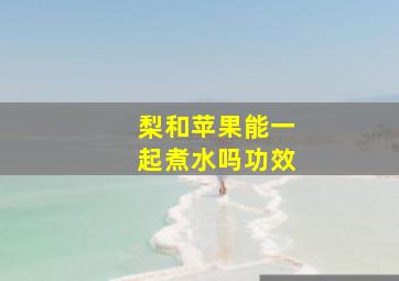 梨和苹果能一起煮水吗功效