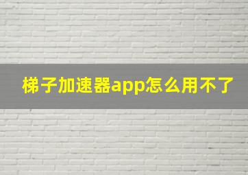 梯子加速器app怎么用不了