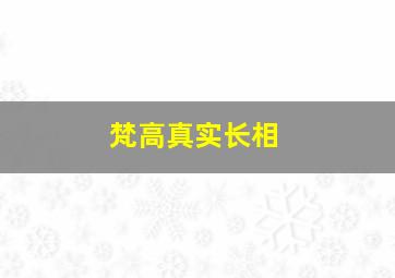 梵高真实长相