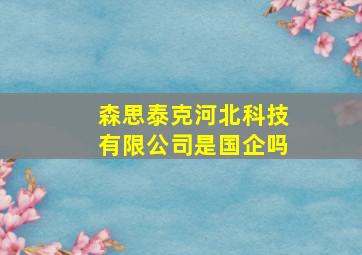 森思泰克河北科技有限公司是国企吗