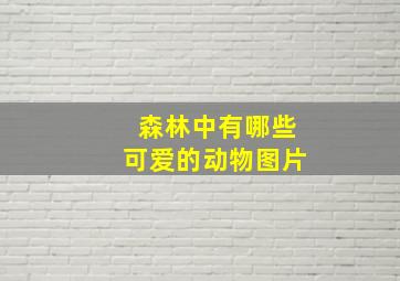 森林中有哪些可爱的动物图片