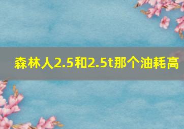 森林人2.5和2.5t那个油耗高