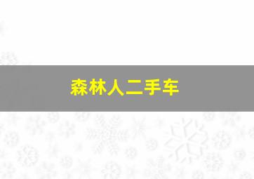 森林人二手车