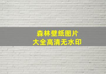 森林壁纸图片大全高清无水印