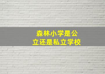 森林小学是公立还是私立学校