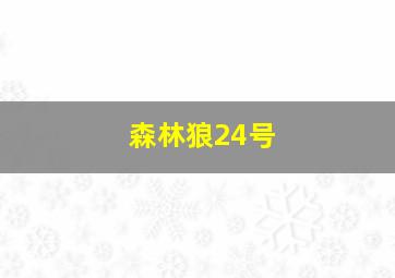 森林狼24号