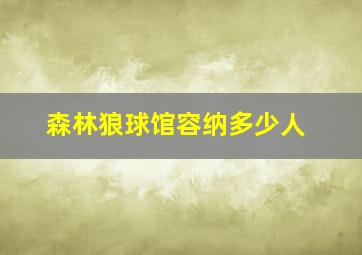 森林狼球馆容纳多少人